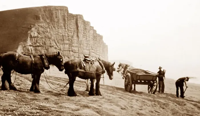Framed Print : Collecting gravel from West Bay, Bridport, early 1900s Framed Print : Collecting gravel from West Bay, Bridport, early 1900s