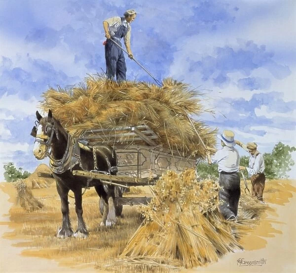 Collecting hay bales