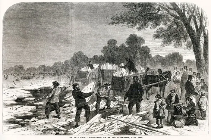 Framed Print : Collecting ice at Serpentine, Hyde Park 1857 Framed Print : Collecting ice at Serpentine, Hyde Park 1857