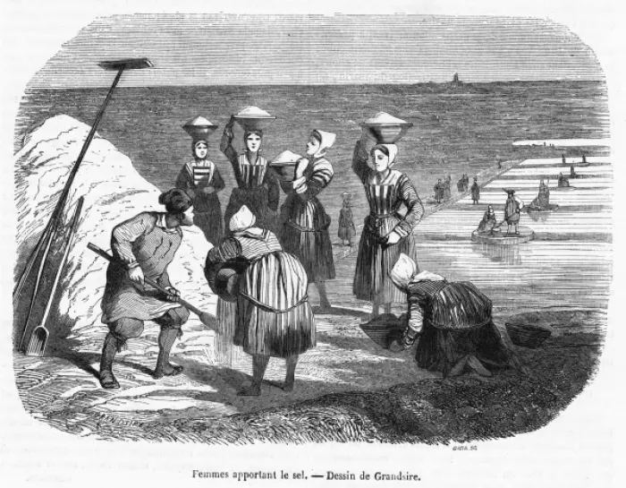 Framed Print : Collecting Salt, France Framed Print : Collecting Salt, France