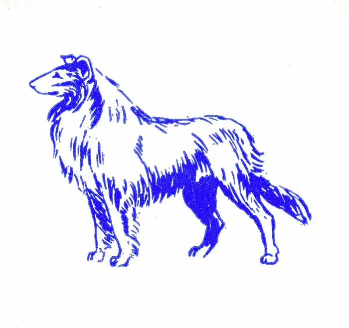 Framed Print : Collie dog - 1950s printer's block Framed Print : Collie dog - 1950s printer's block