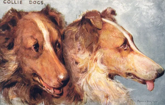 Framed Print : Collie Dogs Framed Print : Collie Dogs