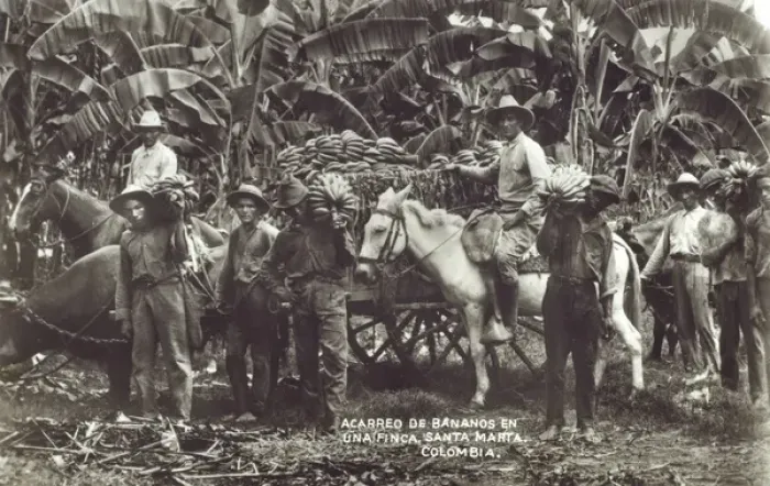 Framed Print : Colombia - Picking and transporting bananas Framed Print : Colombia - Picking and transporting bananas