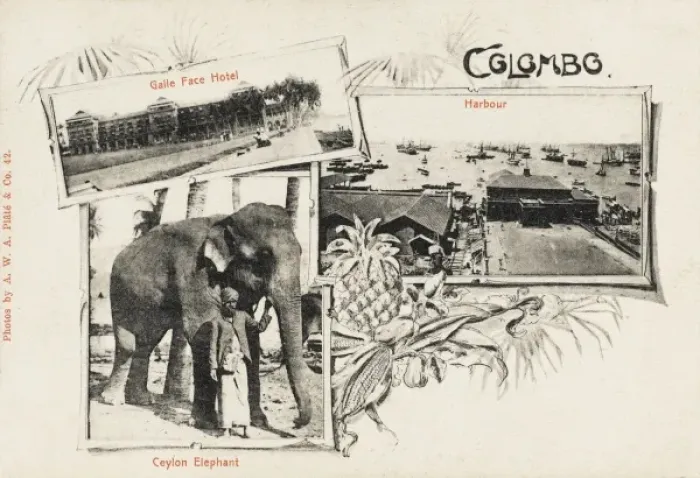 Framed Print : Colombo - Sri Lanka Framed Print : Colombo - Sri Lanka