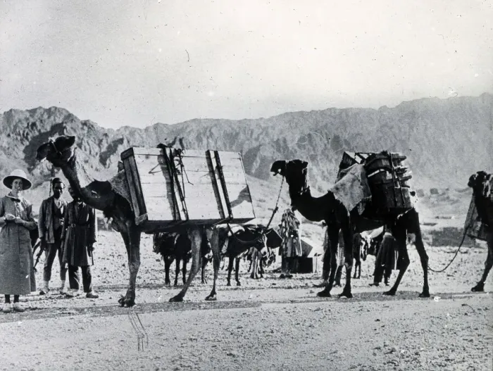 Framed Print : Colonials in Persia, transporting luggage by camel Framed Print : Colonials in Persia, transporting luggage by camel