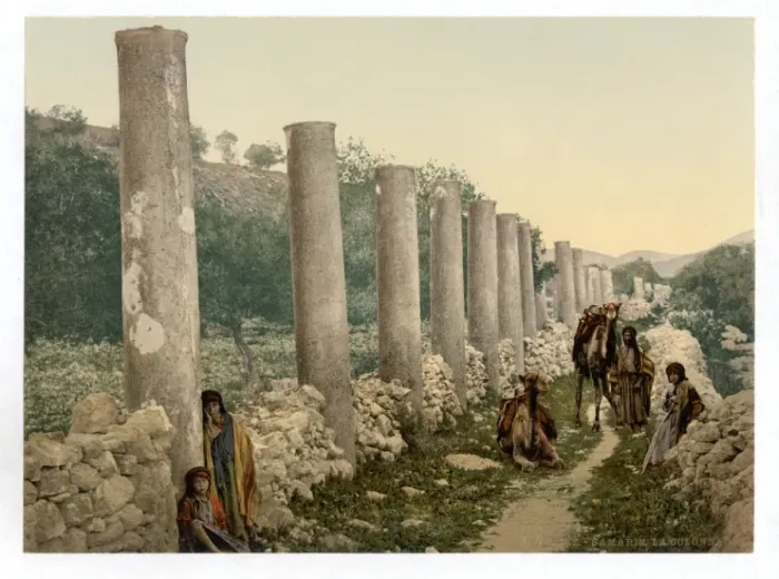 Framed Print : The colonnade, Samaria, Holy Land Framed Print : The colonnade, Samaria, Holy Land