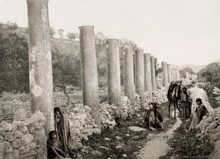 Framed Print : The Colonnade, Samaria, Holy Land, Palestine, modern Israel Framed Print : The Colonnade, Samaria, Holy Land, Palestine, modern Israel