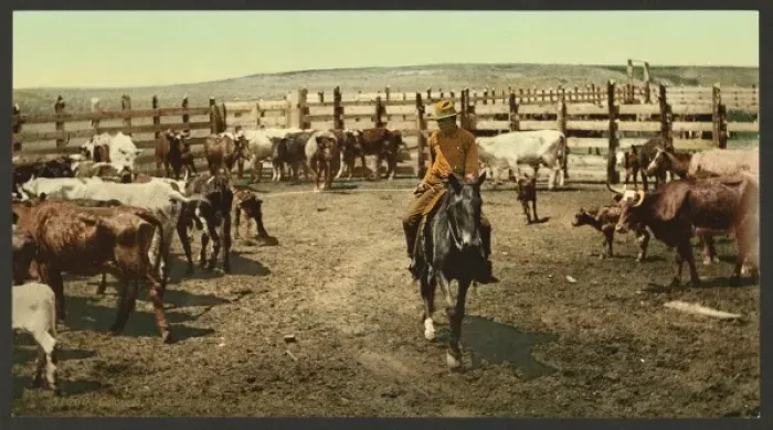 Framed Print : Colorado. Round up in the corral Colorado. Round up in the c Framed Print : Colorado. Round up in the corral Colorado. Round up in the c