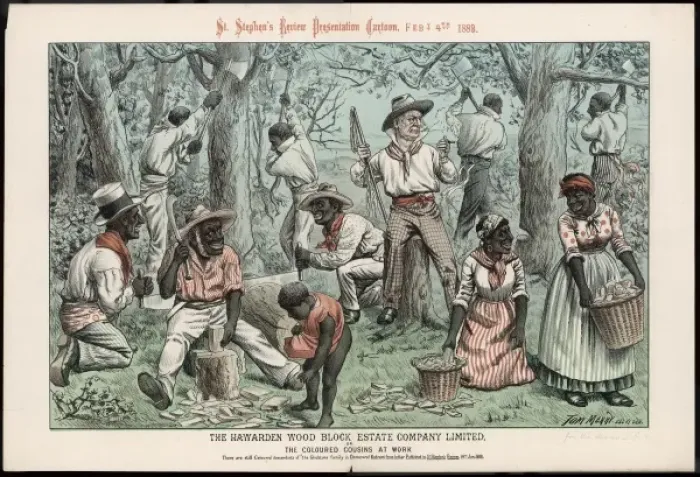 Framed Print : Coloured Cousins 2 Framed Print : Coloured Cousins 2