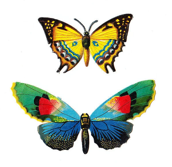 Colourful butterflies on two Victorian scraps
