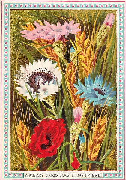 Colourful flowers on a Christmas card
