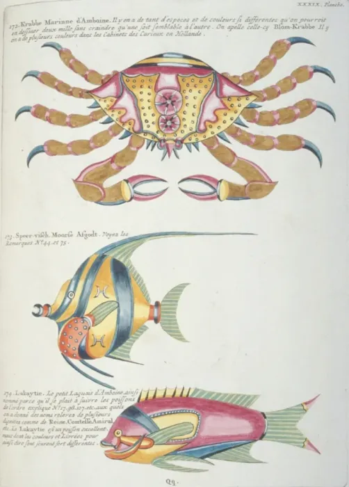 Framed Print : Colourful illustration of two fish and a crab Framed Print : Colourful illustration of two fish and a crab