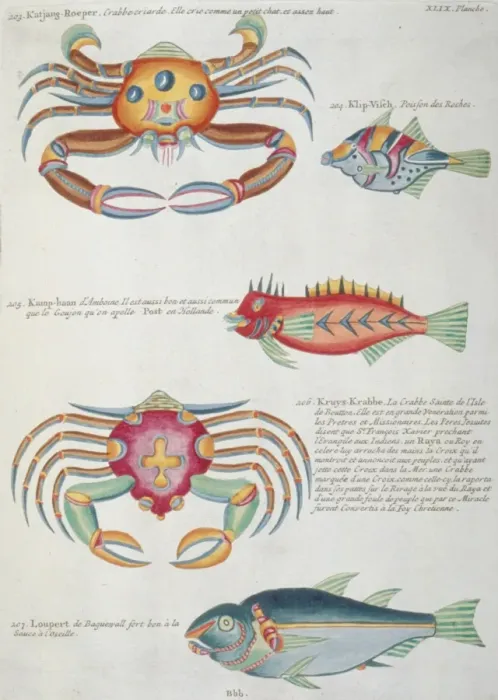 Framed Print : Colourful illustration of three fish and two crabs Framed Print : Colourful illustration of three fish and two crabs