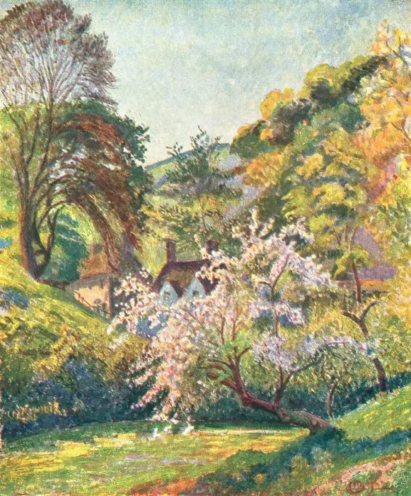 Framed Print : Colourful Landscape Framed Print : Colourful Landscape