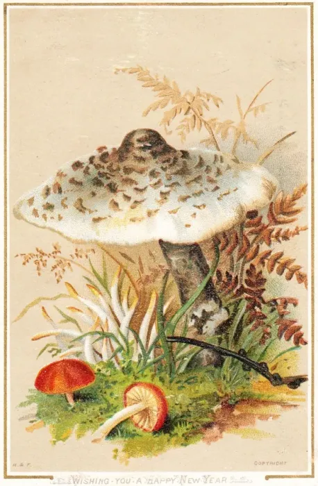 Framed Print : Colourful toadstools on a New Year card Framed Print : Colourful toadstools on a New Year card