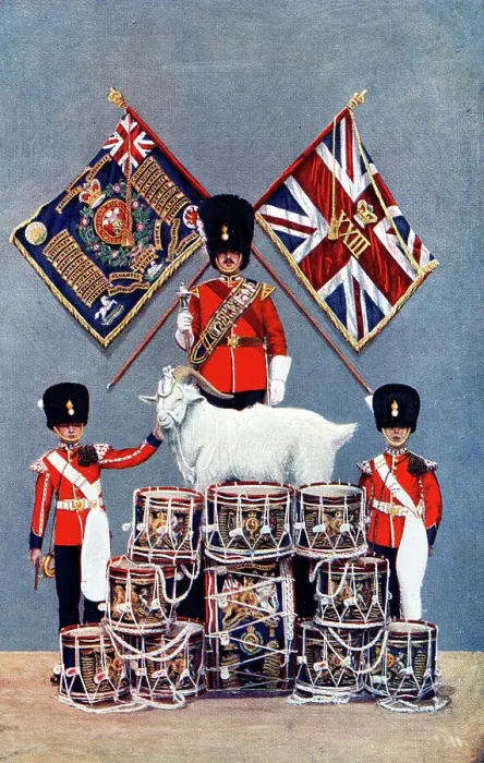 Framed Print : Colours, Drums and Goat Mascot of Royal Welsh Fusiliers Framed Print : Colours, Drums and Goat Mascot of Royal Welsh Fusiliers