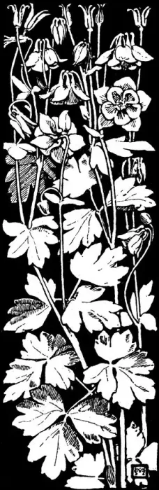 Framed Print : Columbine, etc Framed Print : Columbine, etc