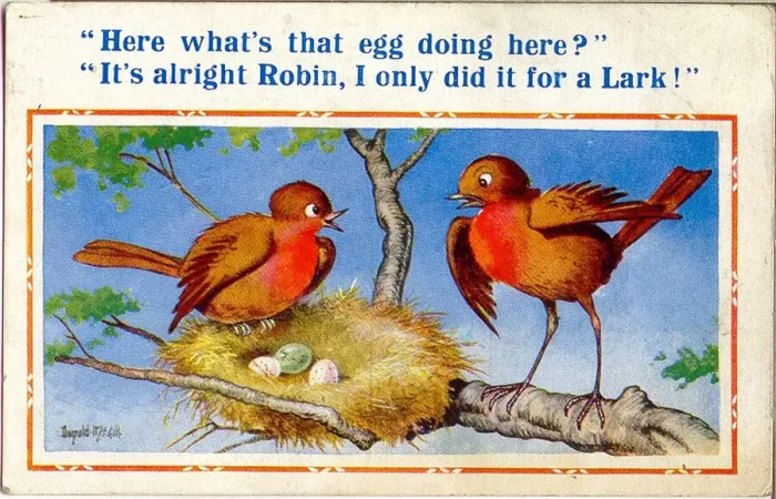 Framed Print : Comic postcard, Birds with nest of eggs Framed Print : Comic postcard, Birds with nest of eggs