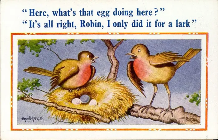 Framed Print : Comic postcard, Birds with nest of three eggs, one of them a different colour Date Framed Print : Comic postcard, Birds with nest of three eggs, one of them a different colour Date