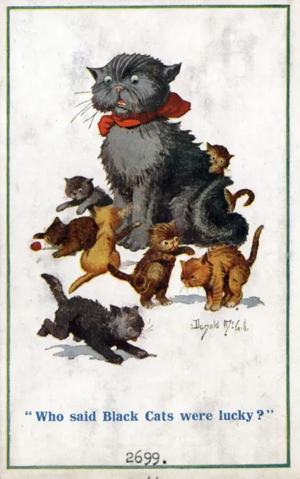 Framed Print : Comic postcard, Black cat annoyed by kittens Date: circa 1918 Framed Print : Comic postcard, Black cat annoyed by kittens Date: circa 1918