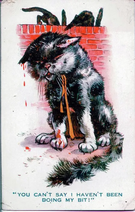 Framed Print : Comic postcard, Black cat fighter - You can't say I haven't been doing my bit! Date: 1914-1918 Framed Print : Comic postcard, Black cat fighter - You can't say I haven't been doing my bit! Date: 1914-1918