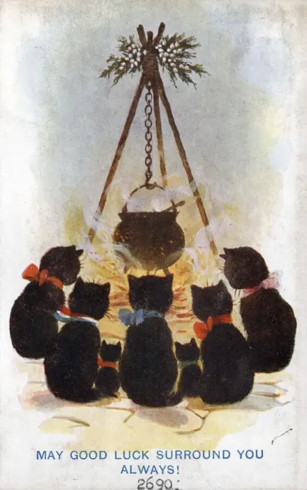 Framed Print : Comic postcard, Five black cats on a Good Luck card, sitting round a cooking pot Date Framed Print : Comic postcard, Five black cats on a Good Luck card, sitting round a cooking pot Date