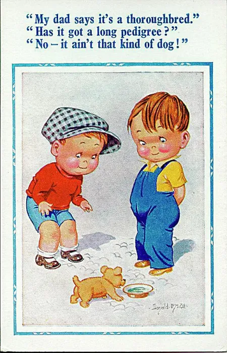 : Comic postcard, Two boys discuss puppy Date: 20th century : Comic postcard, Two boys discuss puppy Date: 20th century
