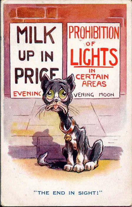 Framed Print : Comic postcard, Cat hit by wartime conditions, milk up in price and prohibition of lights at night - The end in sight! Date: 1914-1918 Framed Print : Comic postcard, Cat hit by wartime conditions, milk up in price and prohibition of lights at night - The end in sight! Date: 1914-1918