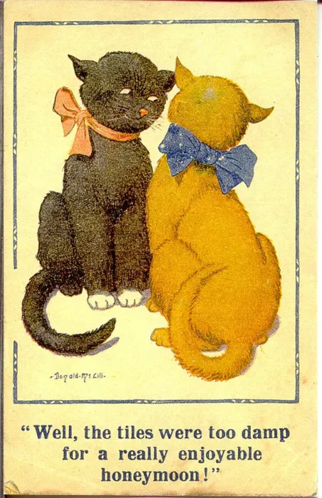 Framed Print : Comic postcard, Two cats discuss their honeymoon Date: 20th century Framed Print : Comic postcard, Two cats discuss their honeymoon Date: 20th century