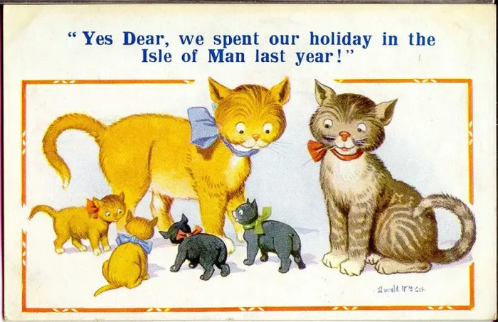 Framed Print : Comic postcard, Cats and kittens Framed Print : Comic postcard, Cats and kittens