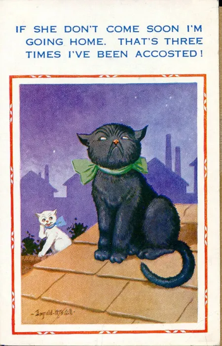 Framed Print : Comic postcard, Two cats on a roof at night Date: 20th century Framed Print : Comic postcard, Two cats on a roof at night Date: 20th century