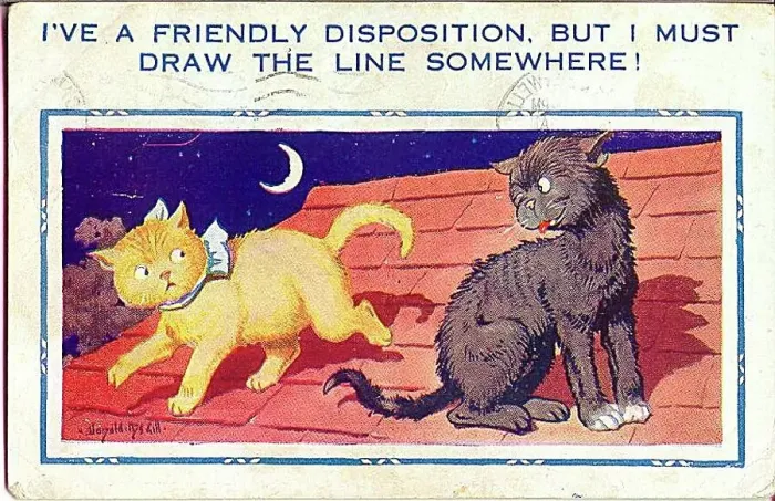 : Comic postcard, Two cats on a roof at night Date: 20th century : Comic postcard, Two cats on a roof at night Date: 20th century