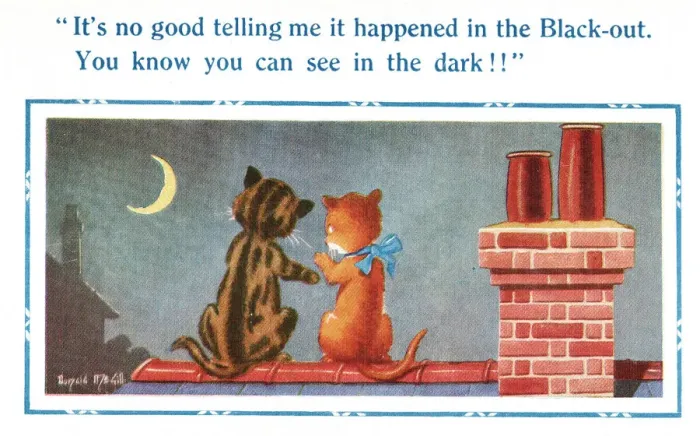Framed Print : Comic postcard, two cats on a roof, WW2 - it happened in the blackout Date: 1940s Framed Print : Comic postcard, two cats on a roof, WW2 - it happened in the blackout Date: 1940s