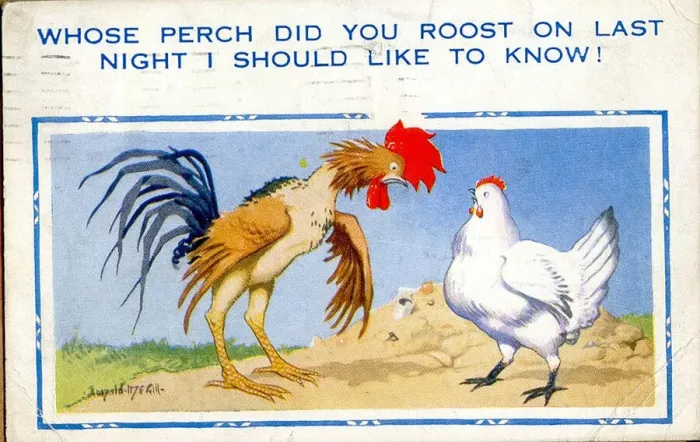 Framed Print : Comic postcard, Cockerel and hen Date: 20th century Framed Print : Comic postcard, Cockerel and hen Date: 20th century