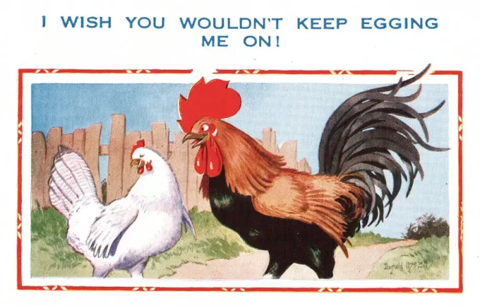 Framed Print : Comic postcard, cockerel and hen flirtation Framed Print : Comic postcard, cockerel and hen flirtation