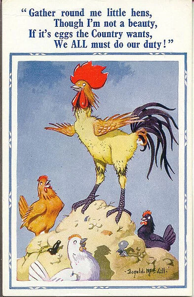 Comic postcard, Cockerel and hens, egg production, WW2 Date: 1940s