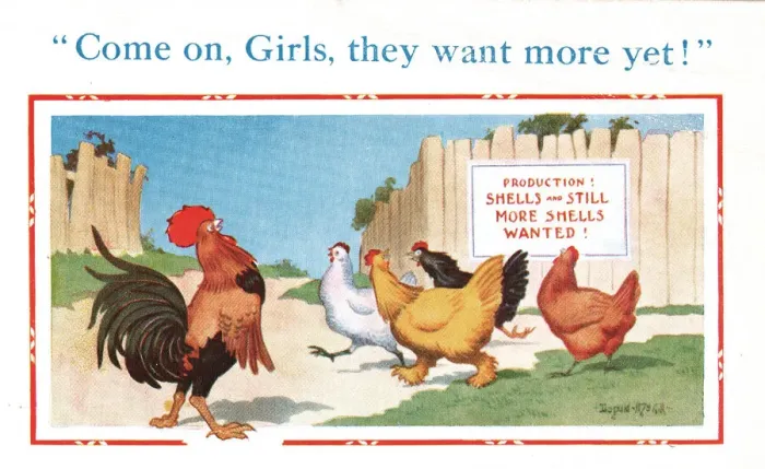 Framed Print : Comic postcard, cockerel and hens, WW2 Framed Print : Comic postcard, cockerel and hens, WW2