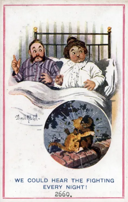 Framed Print : Comic postcard, Couple in bed, cats fighting, WW1 Date: circa 1918 Framed Print : Comic postcard, Couple in bed, cats fighting, WW1 Date: circa 1918