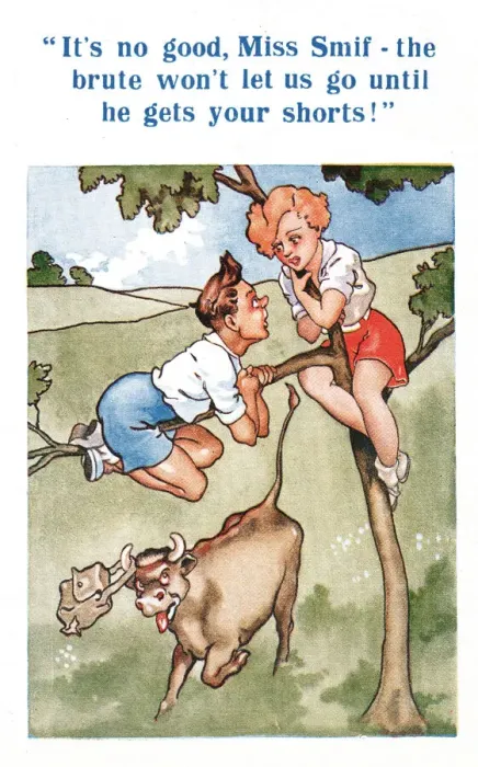 Framed Print : Comic postcard, Couple stuck up a tree with an angry bull below Date: 20th century