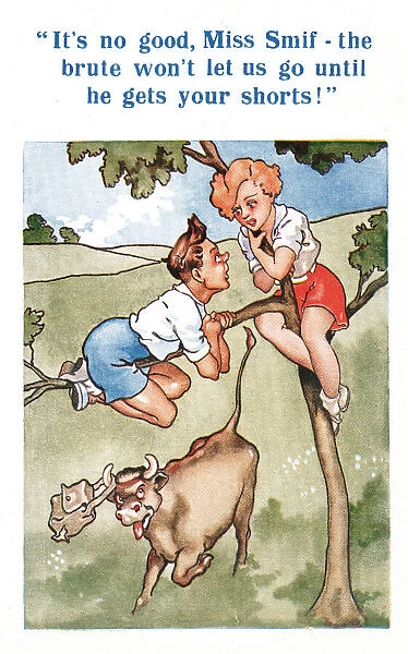 Comic postcard, Couple stuck up a tree with an angry bull below Date: 20th century