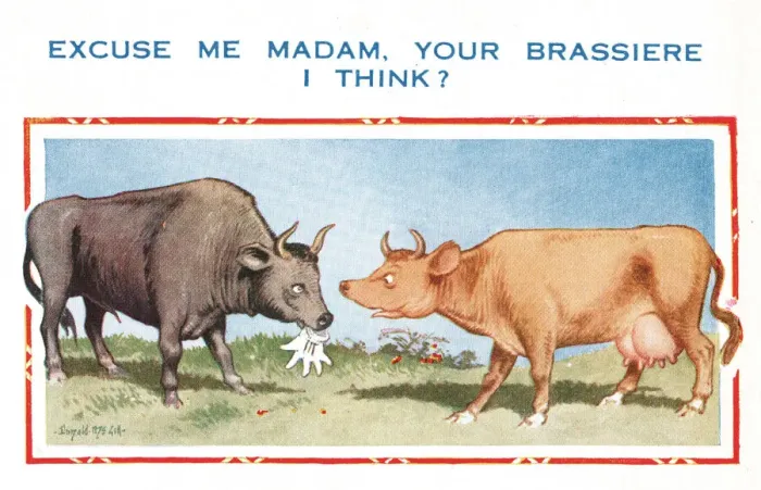 Framed Print : Comic postcard, cow and bull - your brassiere, I think? Date: 20th century Framed Print : Comic postcard, cow and bull - your brassiere, I think? Date: 20th century