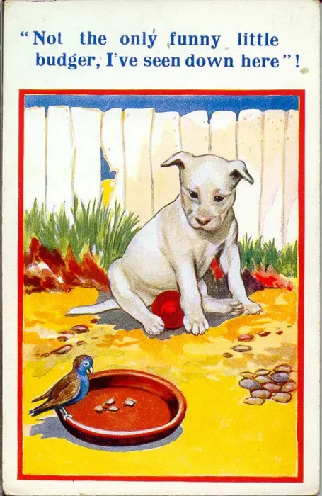 Framed Print : Comic postcard, Dog and bird in the garden Framed Print : Comic postcard, Dog and bird in the garden