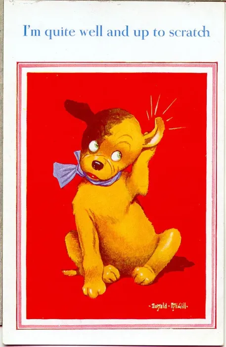Framed Print : Comic postcard, Dog feeling up to scratch Date: 20th century Framed Print : Comic postcard, Dog feeling up to scratch Date: 20th century
