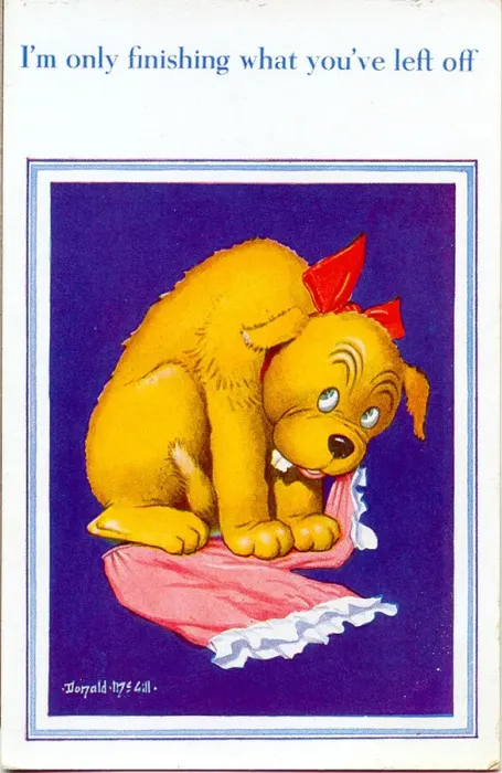 Framed Print : Comic postcard, Dog with pair of knickers Date: 20th century Framed Print : Comic postcard, Dog with pair of knickers Date: 20th century
