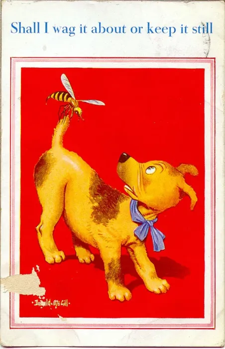 Framed Print : Comic postcard, Dog with a wasp on its tail Date: 20th century Framed Print : Comic postcard, Dog with a wasp on its tail Date: 20th century