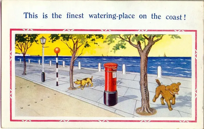 Framed Print : Comic postcard, Dogs at the seaside Date: 20th century Framed Print : Comic postcard, Dogs at the seaside Date: 20th century