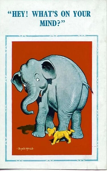 Comic postcard, Elephant and dog Date: 20th century