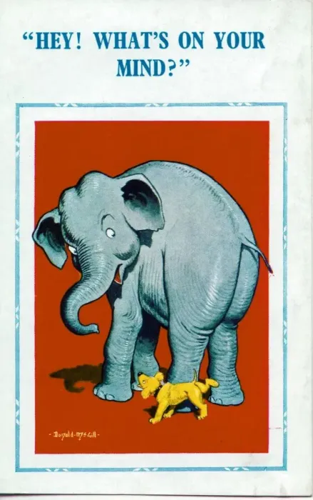 Framed Print : Comic postcard, Elephant and dog Date: 20th century Framed Print : Comic postcard, Elephant and dog Date: 20th century