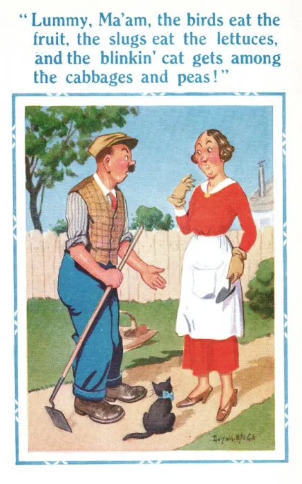 Framed Print : Comic postcard, gardener complaining Framed Print : Comic postcard, gardener complaining