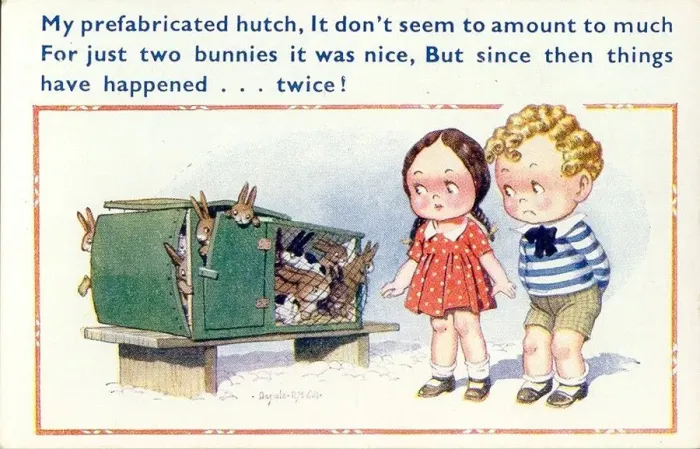 Framed Print : Comic postcard, Girl and boy with overflowing rabbit hutch Date: 20th century Framed Print : Comic postcard, Girl and boy with overflowing rabbit hutch Date: 20th century